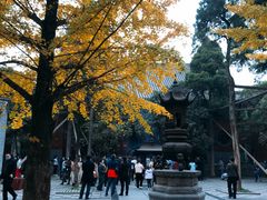 -洛阳白马寺