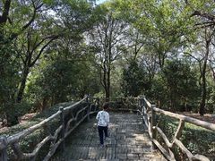 -大雁山风景区