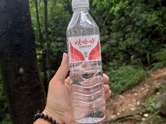 -阳台山森林公园