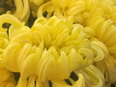 -小榄公饭店(西区彩虹店)