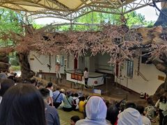 -南戴河国际娱乐中心