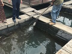 -海上驿站渔家菜馆