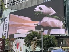 -合景·悠方(成都店)