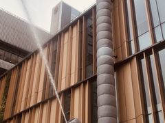 -港龙舞蹈·成人少儿舞蹈培训(深圳湾校区)