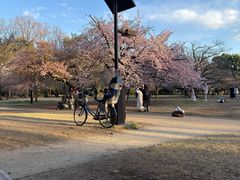 -井之头恩赐公园