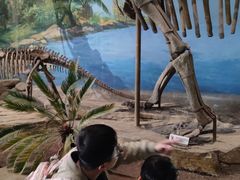-自贡恐龙博物馆
