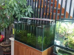 -繁花足道(梅江店)