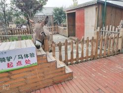 -三分地生态园·儿童乐园