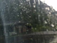 -黑河国家森林公园