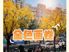 -簋街