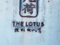 -几荷·恰似故人来(秀水广场店)