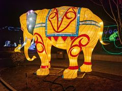 -南宫五洲植物乐园