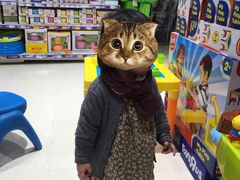 -TOYSRUS玩具反斗城(厦门新生活广场店)