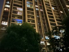 -华润·凯旋名邸