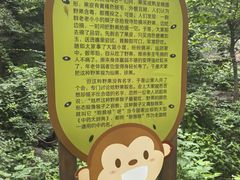 -大岭沟猕猴桃谷风景区