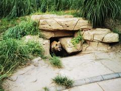 -北京野生动物园