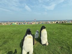 -渔岛海洋度假区