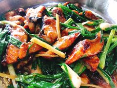 -鲤鱼塘农家山庄