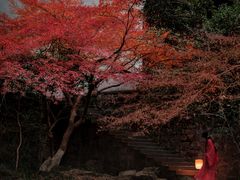 -虎跑公园