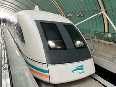 -龙阳路磁悬浮列车总站-停车场