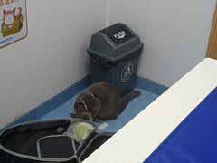 -博特宠物医院24h犬猫全科.骨科·异宠