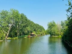 -溱湖国家湿地公园