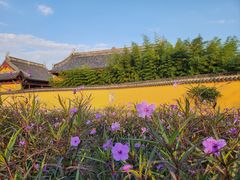-莲花岛景区