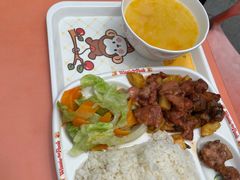 -南宫五洲植物乐园