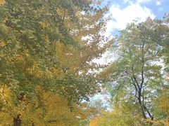 -长白岛森林公园