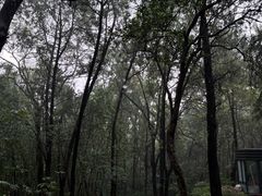 -云龙山