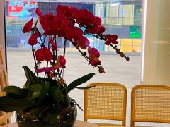 -莆田餐厅PUTIEN(西安万象天地店)