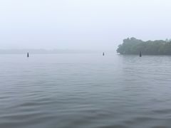 -西湖外事游船(花港观鱼码头)