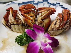 -山外山菜馆(玉泉路店)