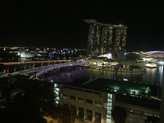 -新加坡文华东方酒店