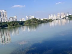 -南宁南湖公园