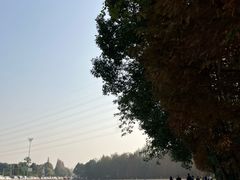 -桤木河湿地公园