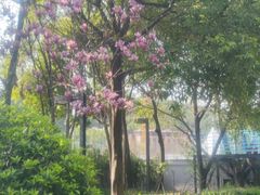 -海兰云天度假区温泉