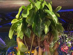 -顺德了能馆(虎门店)