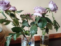 -嘉丰湘菜馆(芳群园店)