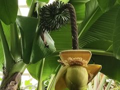 -石家庄市植物园