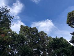 -寂照庵