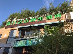 -易门野生菌府·菌海森林(月牙潭公园店)