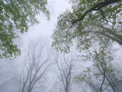 -沂蒙山旅游区云蒙景区(蒙山国家森林公园)