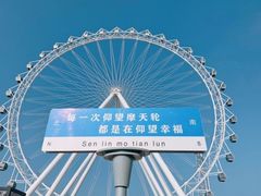 -渡海小渔村.老辈日照菜