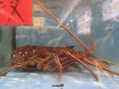 -肥仔顺德菜(龙悦居店)