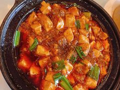 -陈麻婆豆腐总店