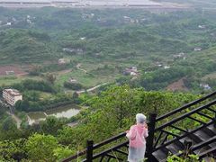 -宾果蒙特梭利托育儿童之家幼儿园(爱琴海店)