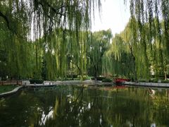 -玲珑塔公园
