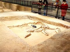 -洛阳周王城天子驾六博物馆