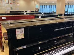 -柏斯音乐艺术中心·钢琴·吉他(上音店)